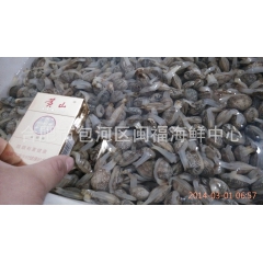 中华老字号 东阿阿胶桃花姬阿胶糕300g