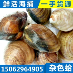 中华老字号 东阿阿胶桃花姬阿胶糕300g