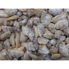 中华老字号 东阿阿胶桃花姬阿胶糕300g