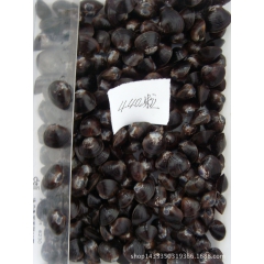 中华老字号 东阿阿胶桃花姬阿胶糕300g