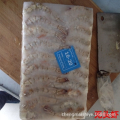 野生无头虾 去头白虾 厂家直销 中西餐专用