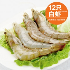 批发冰冻白虾 高档盒装野生白虾 婚宴用虾1kg/盒