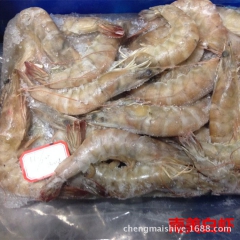 南美对虾 基围虾 而瓜多尔白虾 一手货源 海鲜自助中餐专用
