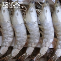 白虾 冷冻海鲜水产品白虾 25头/kg 全国批发供应各种白虾