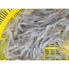 中华老字号 东阿阿胶桃花姬阿胶糕300g