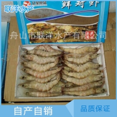 【舟山联洋】供应批发南美白虾  冷冻白虾 各种规格齐全