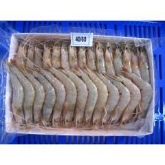 印度海白虾 SEA CAUGHT WHITE SHRIMP