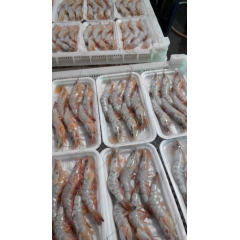 6头东方对虾 冷冻水产品 海捕虾 个头大