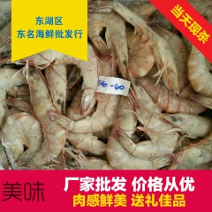 厂家供应   批发海鲜生冻南美白对虾 大量销售