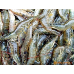 （礼盒）供应冷冻南美白对虾，开背虾仁