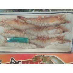一手货源 江苏鲜活海鲜批发 冷冻南美白对虾 鲜活速冻虾南美白...