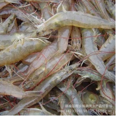 特级野生鲜活冷冻冰冻速冻南美白对虾 海虾 明虾 基围虾 海鲜...