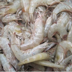 海鲜冻品海虾 南美白对虾 生冻白虾3KG/箱整箱批发 酒店食...
