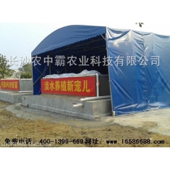 湖南虾霸9号独家淡水虾苗孵化基地专业对虾产销一条龙合作更保障