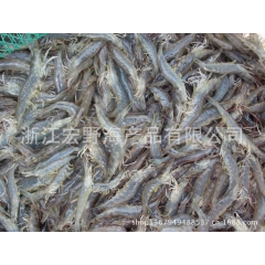 鲜活对虾 虾价格批发零售 南美白对虾 对虾咨询 对虾养殖