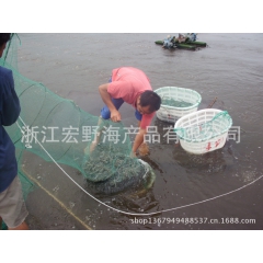 养殖对虾 鲜活对虾批发零售 浙江活虾 海产品 南美白对虾