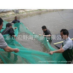 对虾 南美白对虾 明虾 海鲜 海水虾  活虾 冻虾 虾