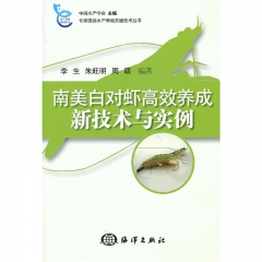 南美白对虾  海水养殖模式