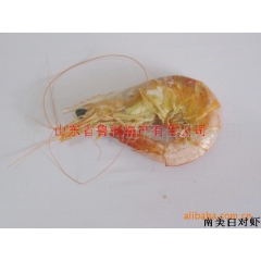 供应海鲜干货  渤海湾野生南美白对虾 对虾干 干虾