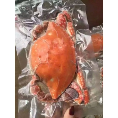 现蒸熟海鲜梭子蟹 母螃蟹 飞蟹 野生海蟹红膏蟹包蟹
