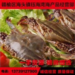 供应冷冻海鲜水产批发 冷冻梭子蟹 冷冻水产批发