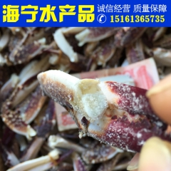 连云港海鲜  蟹腿 蟹钳 新鲜冷冻 梭子蟹 鲜蟹脚