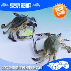 鲜活海蟹 5斤梭子蟹 同城包邮公螃蟹 满黄新鲜海鲜水产飞蟹