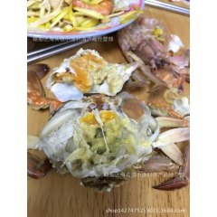 酒店供应大闸蟹 鲜活梭子蟹 飞蟹 膏蟹 螃蟹 连云港海鲜批发