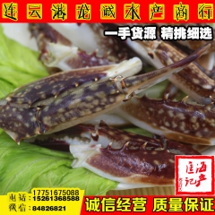 非冷冻 香辣蟹 梭子蟹 蟹腿 蟹脚 蟹钳  酒店供应 海鲜水...