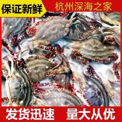 舟山水产海鲜批发 鲜活淡水梭子蟹 各种鲜活螃蟹海鲜产品