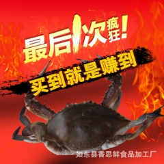 厂家直销野生冷冻梭子蟹 可礼盒装节日佳品企业酒店批发量大从优