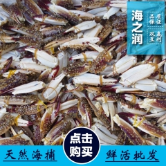梭子蟹 蟹脚 蟹腿 冷冻蟹腿 饭店供应 非冷冻货 大规格