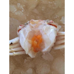 批发蟹肉、梭子蟹、大闸蟹等蟹类海产品