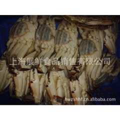 特价供应火爆热销全网品质优良梭子蟹 真材实料