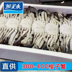 [鲜美来] 厂家直供 300-400梭子蟹  品质保证 全国...