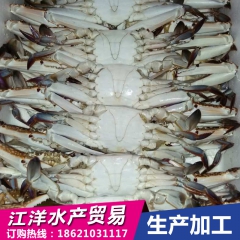 海鲜批发 梭子蟹 螃蟹礼品装礼盒装5公斤