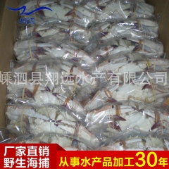 专业供应 冰冻梭子蟹 舟山海鲜特产梭子蟹系列 散装梭子蟹