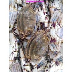 优质冻梭子蟹一级膏蟹腌蟹专用梭子蟹满膏蟹出口美国加拿大梭子蟹