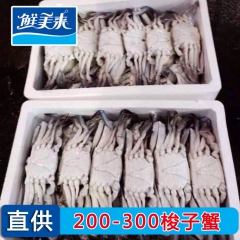 [鲜美来] B4003 厂家直供 200-300梭子蟹  品...