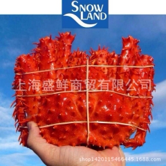 塞内加尔原装进口帝王蟹 新鲜水产海鲜粗加工活冻帝王大闸蟹