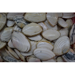 阿巴依海鲜 鲜活水产品 北朝鲜进口螃蟹 餐饮生鲜美食 帝王蟹