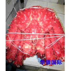 俄罗斯野生帝王蟹 蜘蛛蟹大闸蟹熟冻海鲜大螃蟹6-6.3斤/只...