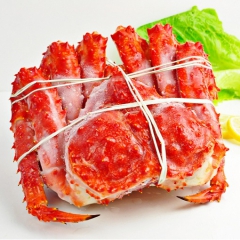 批发供应智利进口海鲜 熟冻野生帝王蟹  高档餐厅酒楼必备食材