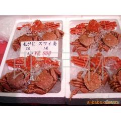 批发供应朝鲜海鲜，板蟹（长脚蟹），红毛蟹，帝王蟹