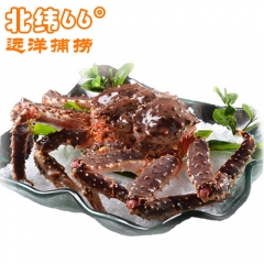 2015新货 俄罗斯进口生冻帝王蟹 鲜活蟹急速冷冻肉质饱满 ...