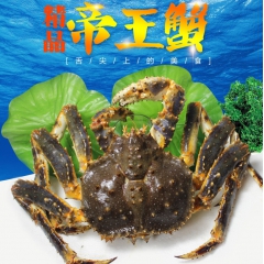 冰冻帝王蟹 俄罗斯进口 生冻速冻帝王蟹 餐饮供应 送礼佳品