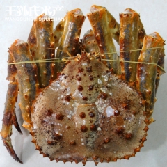 鲜冻海鲜帝王蟹 生冻进口挪威帝王蟹 粗加工水产品 肉质饱满