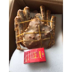 供应批发俄罗斯生冻帝王蟹，价格优惠，欢迎来电详情咨询合作