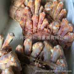 海鲜 直供批发长脚蟹 冷冻保鲜帝王蟹