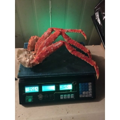 批发 海鲜 智利帝王蟹腿 俄罗斯 帝王蟹 腿 蟹脚 螃蟹3L